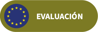 Avaluació FSE+